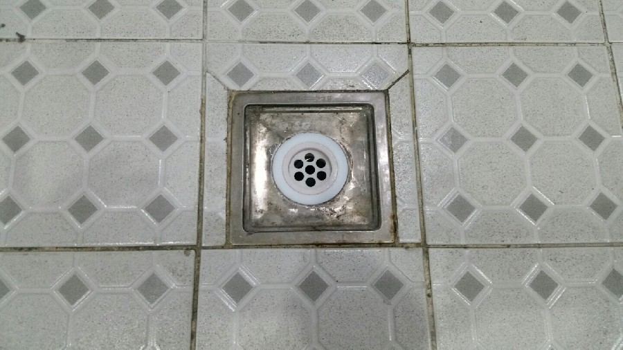  ̹