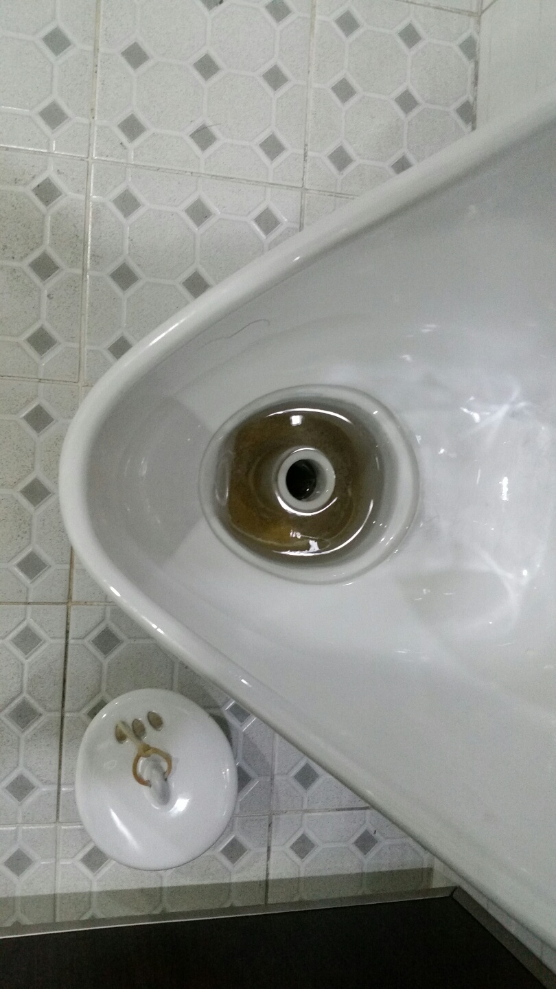  ̹