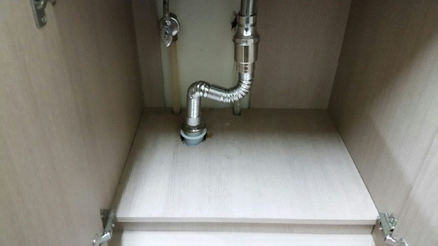  ̹