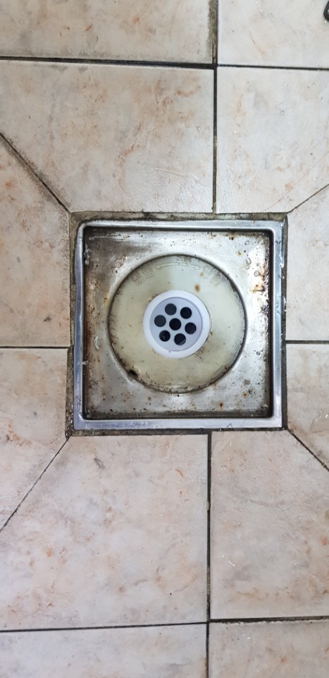  ̹