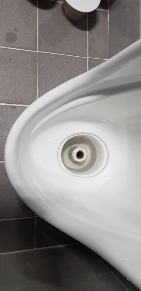  ̹