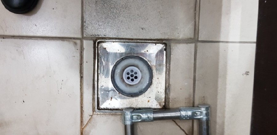  ̹