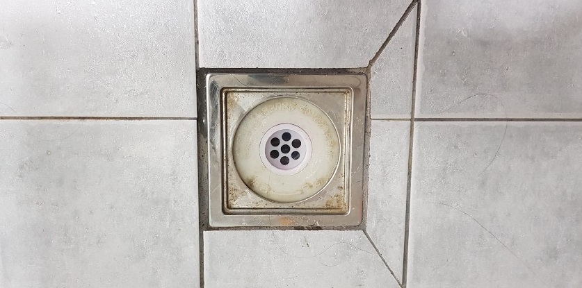  ̹