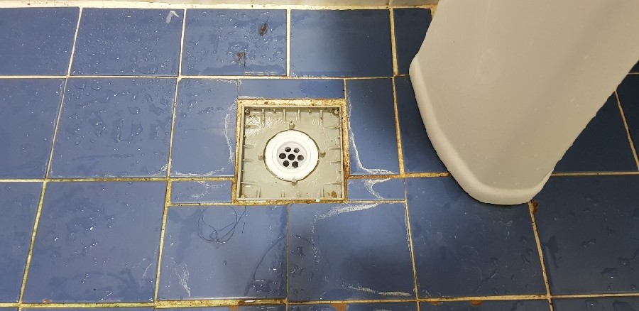  ̹