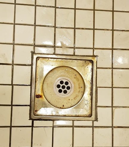  ̹