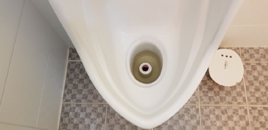  ̹