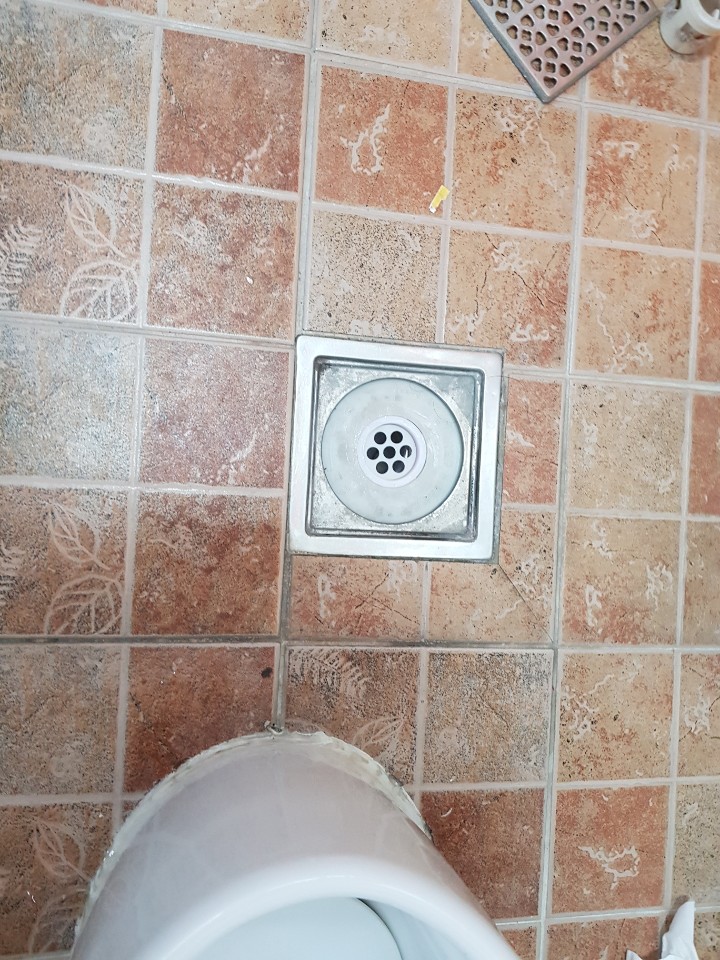  ̹