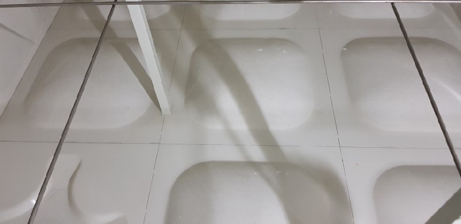  ̹