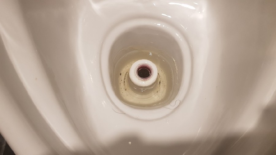  ̹