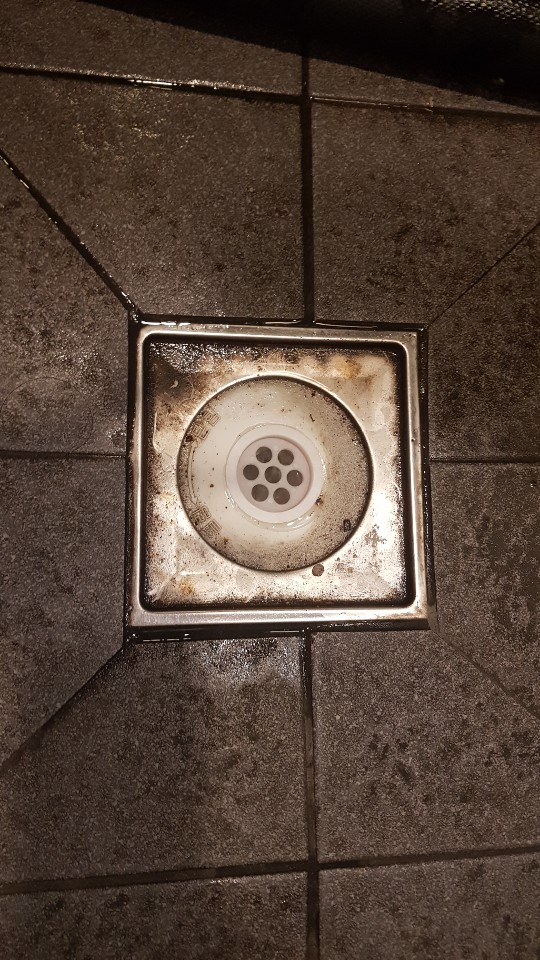  ̹
