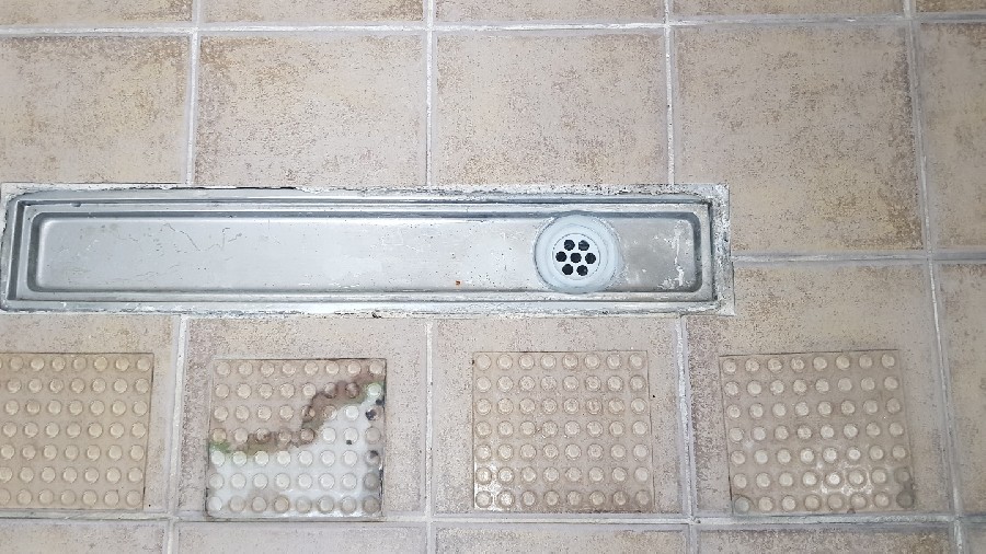  ̹