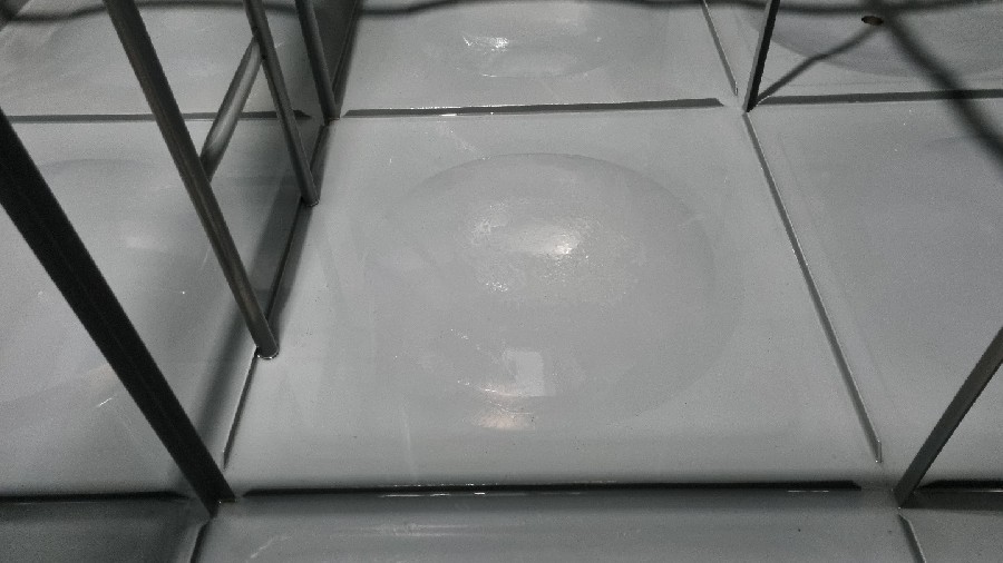  ̹