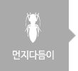 ٵ